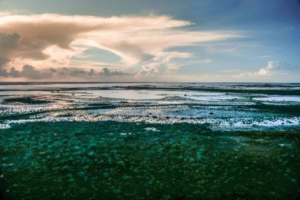 20171011_West_Side_Park_Andros_Bahamas-0005-Heather-Carey-3-2 (2)