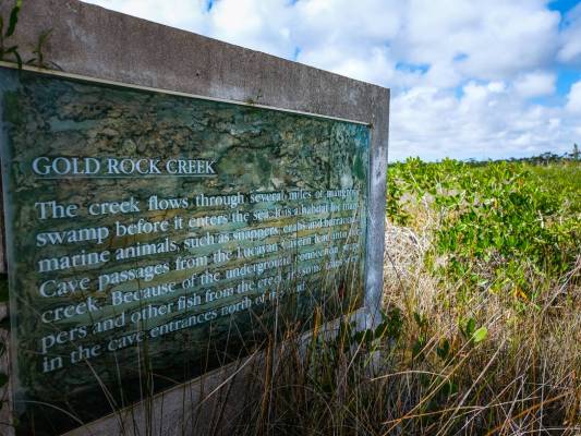 20171104_GB_Lucayan_Natl_Park_0008-1 (2)