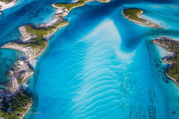 23631919_1479674045413952_9193875452310609394_o (1)