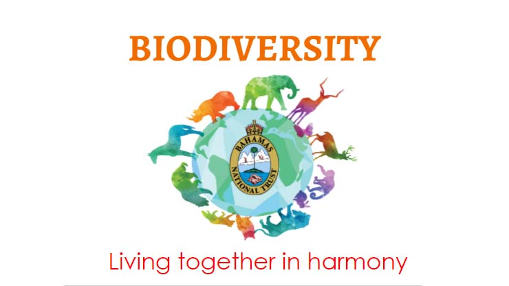 biodiversity