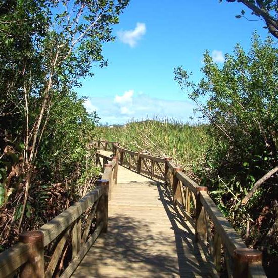 BNT-Boardwalk-at-Harrold-and-Wilson-Ponds-NP-Bahamasair-summer-2015-story-copy-1 (1)