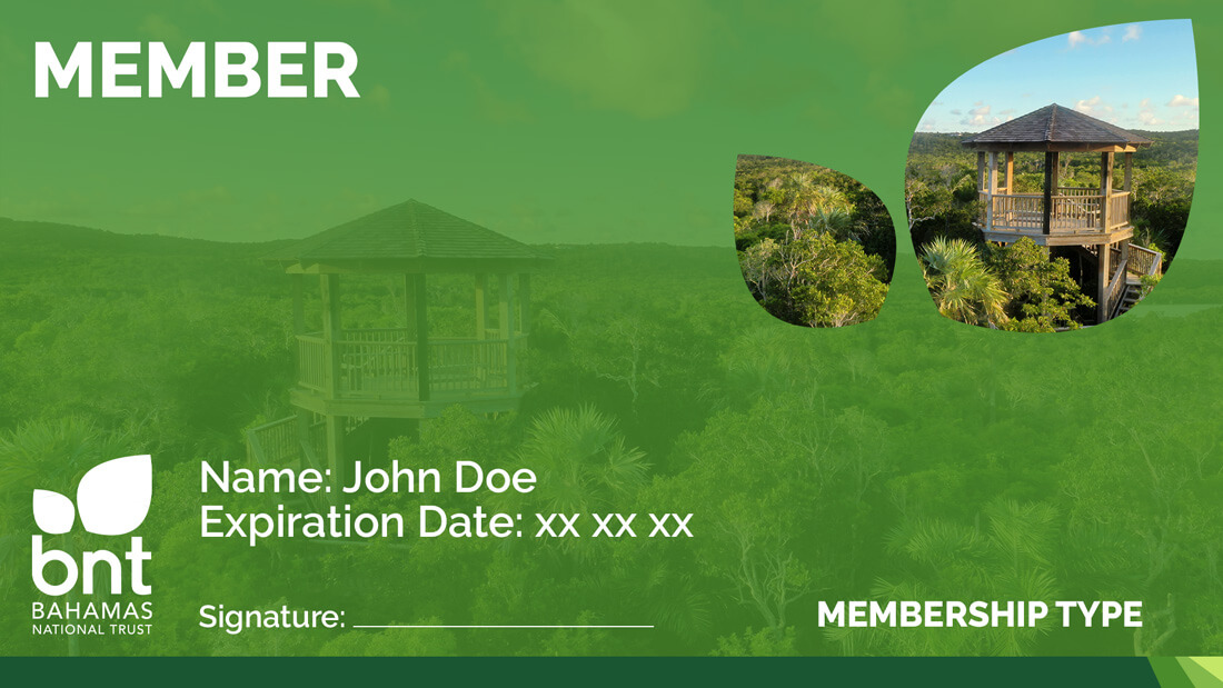 Ethan's-Tower-at-the-Levy-Preserve-Membership-Card