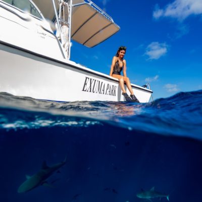 exuma_bnt_sharks (1)