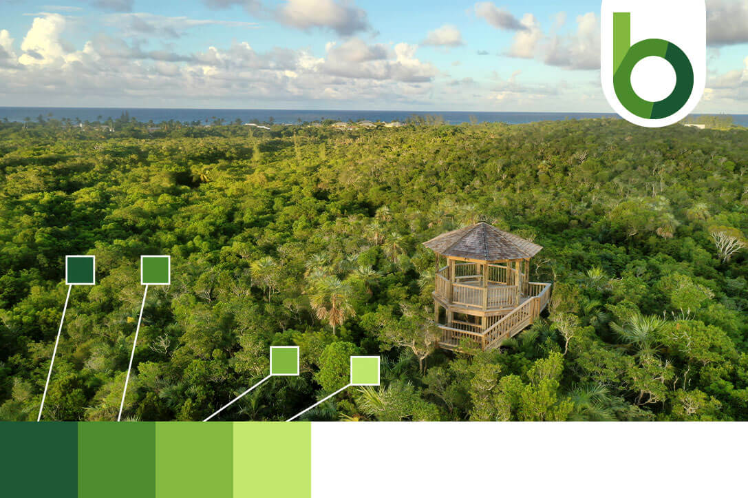 G-Green-Jewel-Like-inspiration