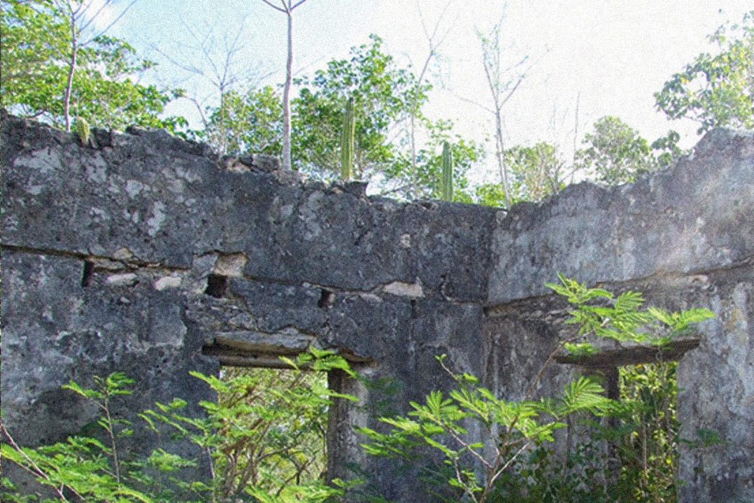 Hope Great House National Park (1)