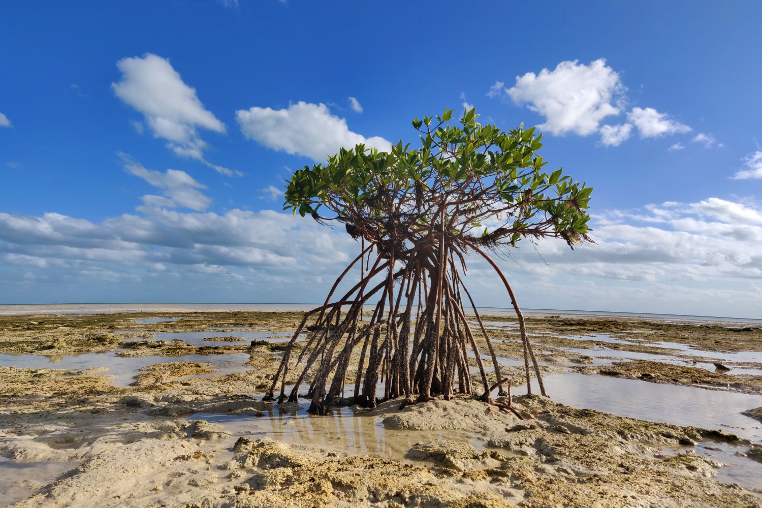 IMG_20181206_150230 (1)