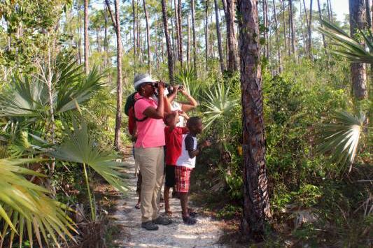 IMG_2099-1-1 (2) (1)