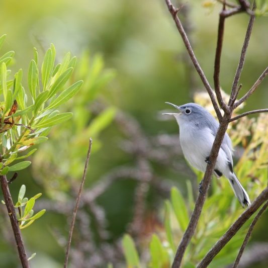 IMG_7340 (1) (1) IMG_7340 (1) (1)