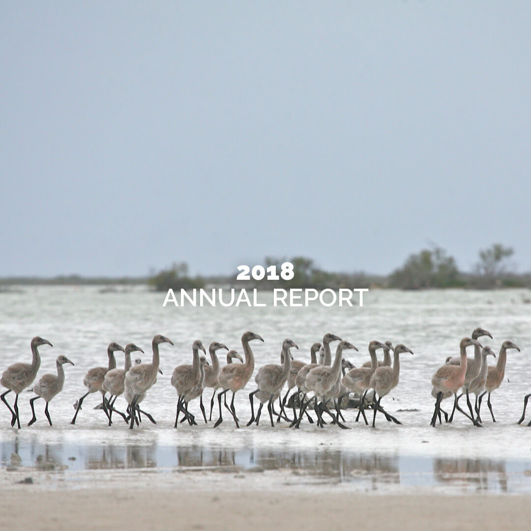 IR2022-Annual-Report-2018