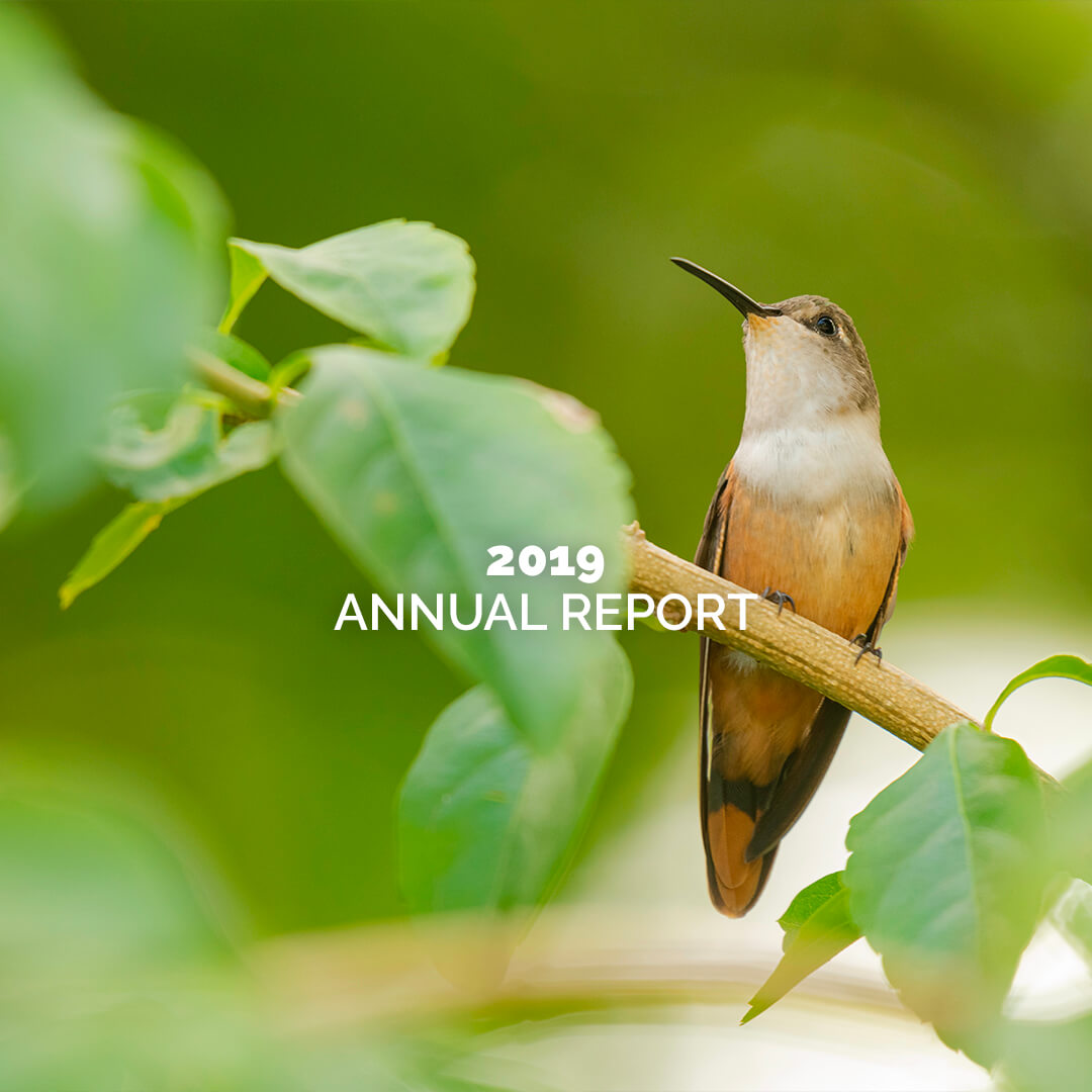 IR2022-Annual-Report-2019