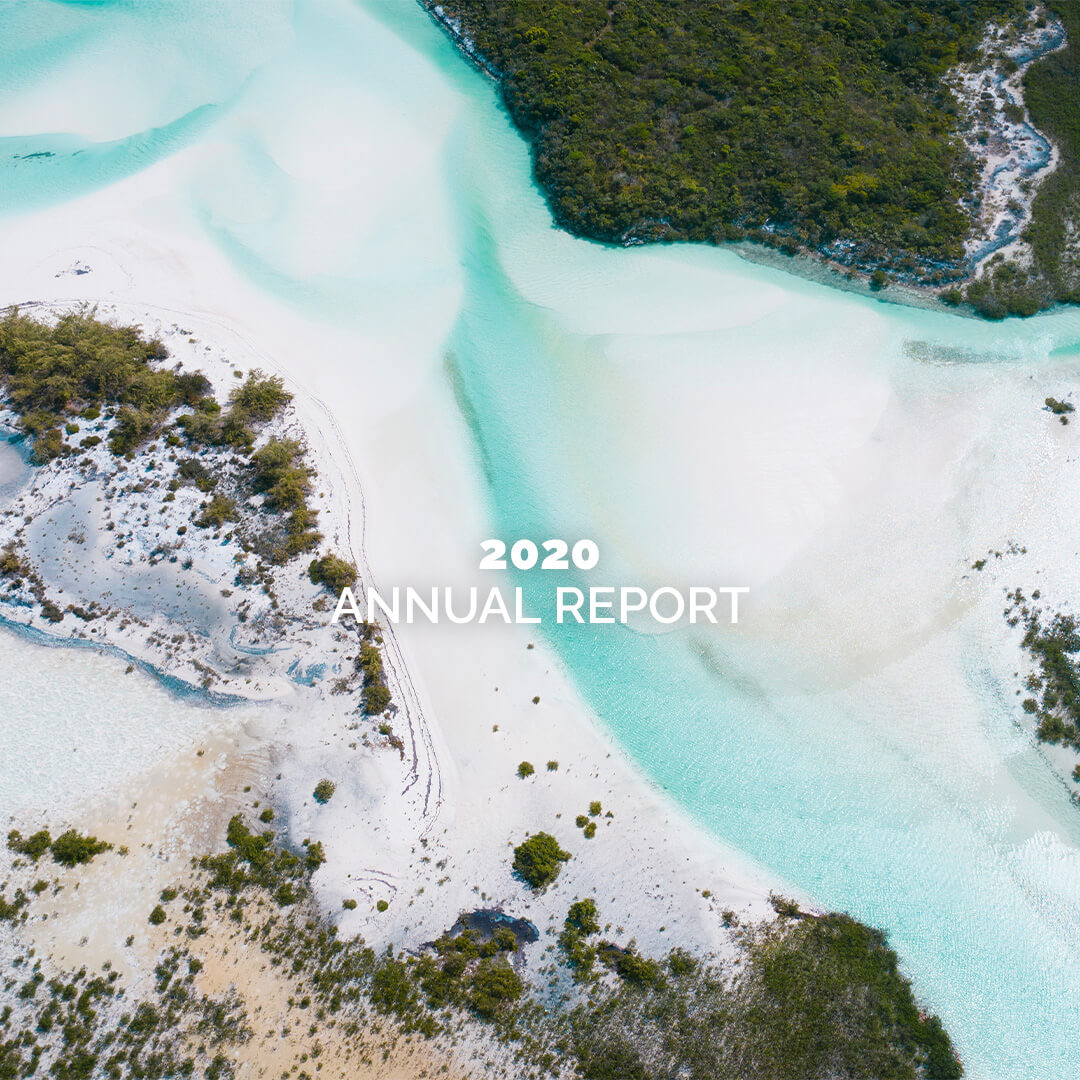 IR2022-Annual-Report-2020