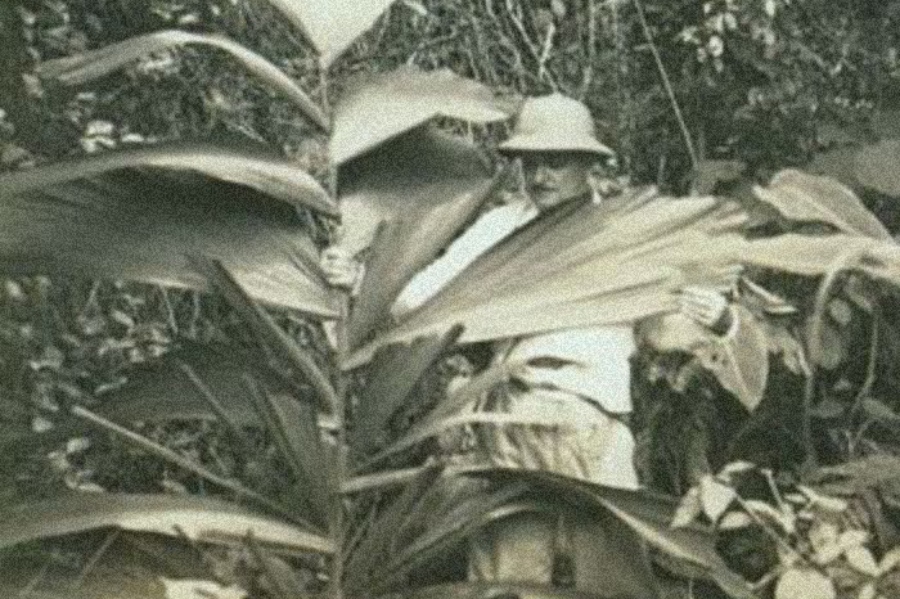 Langlois with Iriartea gigantea (3)