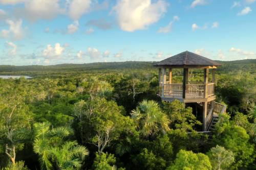 Leon-Levy-Tower-by-Elijah-Sands-1