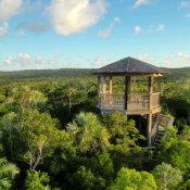 Leon Levy Tower by Elijah Sands, BNT (1)