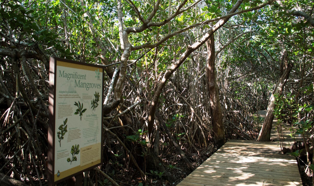 LLNPP-Virtual-Tour-2 3