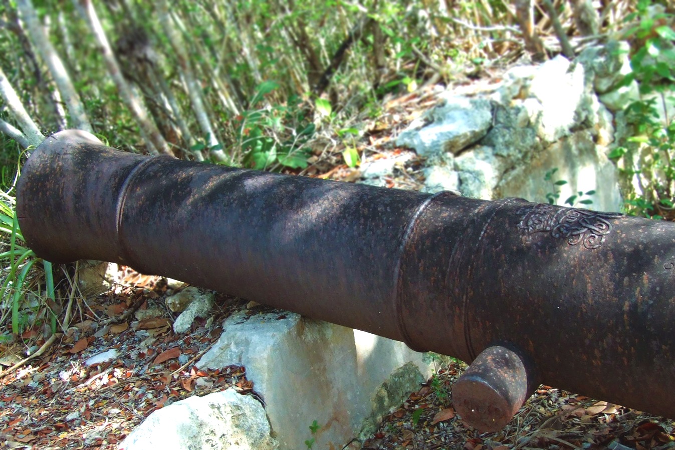 Marine Park 2 3x5 (3)