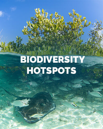 MC-Biodiversity-Hotspots-