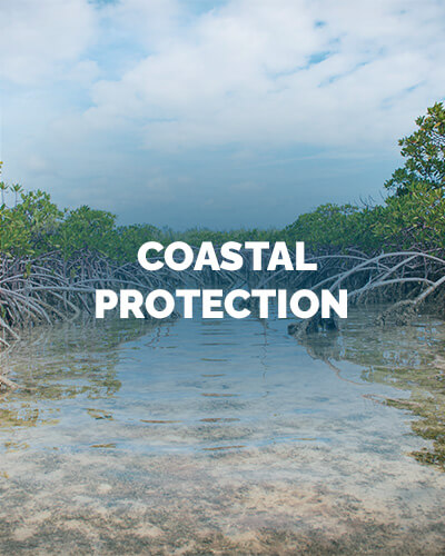 MC-Coastal-Protection