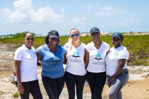 MC-Partners-S2 MC-Partners-S2