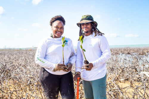 MC-Partners-S3 MC-Partners-S3