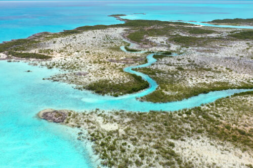 MC-Protecting-Mangroves-S1 MC-Protecting-Mangroves-S1