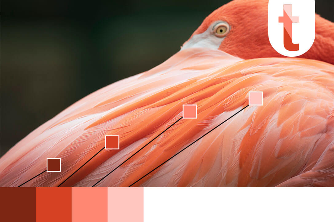 P-Pink-Jewel-Like-inspiration