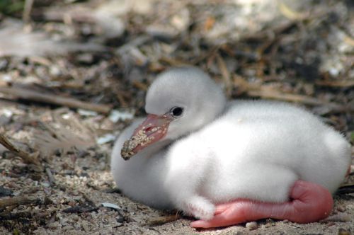 Picture 491 - Copy (1)