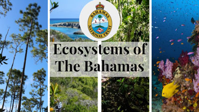 Pres-Cover_Bahamian-Ecosystems