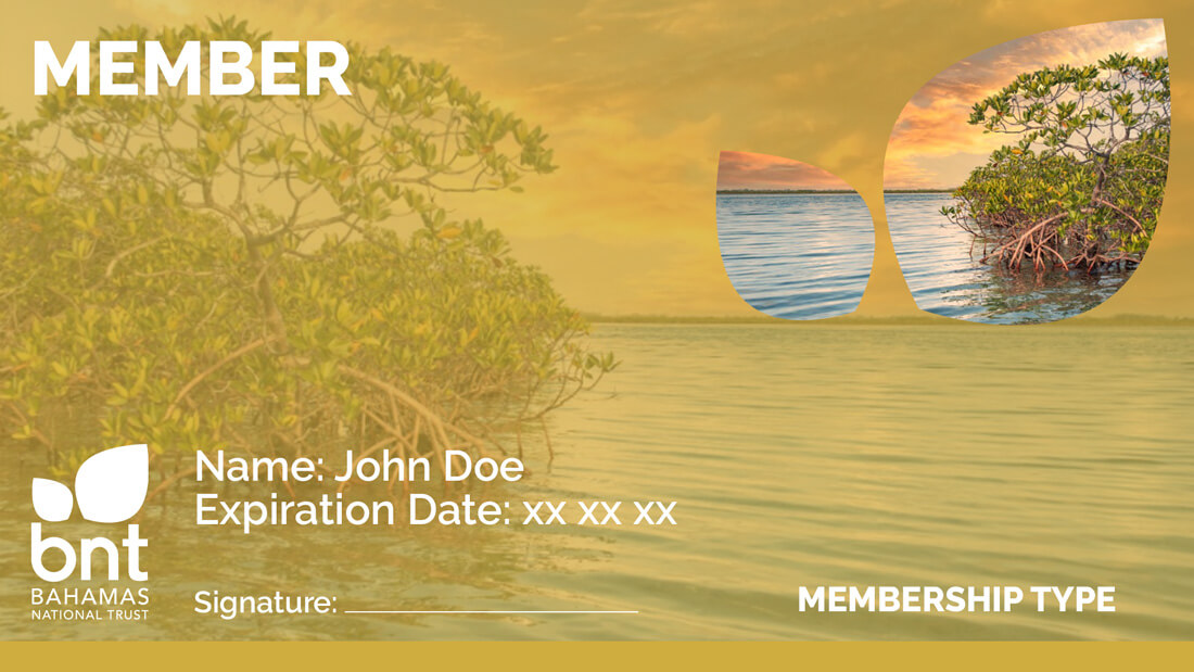 Red-Mangroves-in-Bonefish-Pond-Membership-Card-copy