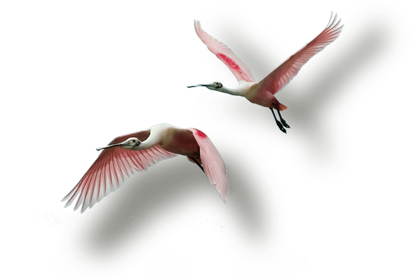 20171011_West_Side_Park_Andros_Bahamas-0021-4