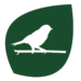 Birdwatching-Dark-Green Birdwatching-Dark-Green