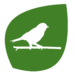 Birdwatching-Icon-Green Birdwatching-Icon-Green