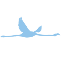 blue WIFl_virtualclass (1) blue WIFl_virtualclass (1)