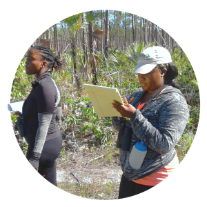 BNT-Interns-doing-Oriole-Surveys_BHNP_May-29-2017_Scott-Johnson