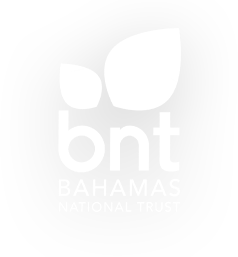 BNT Logo Full Colour BNT Logo Full Colour