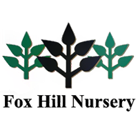 fox hill nursery.jpg