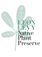 Levy-Preserve-Logo Levy-Preserve-Logo
