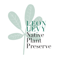 LLNPP-Logo-2022 LLNPP-Logo-2022