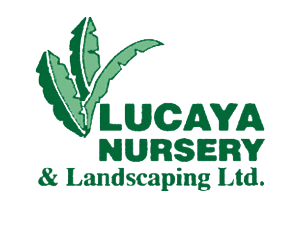 lucaya-landscape-logo