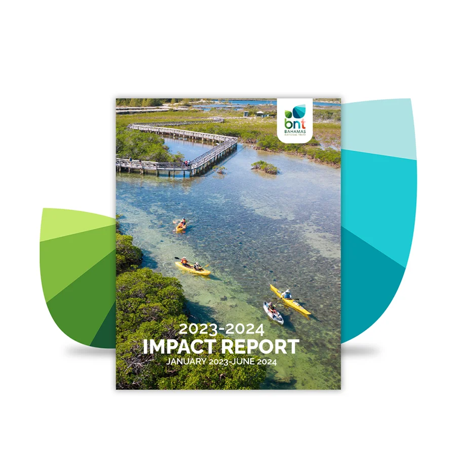 IR2023-2024 Featured Image copy